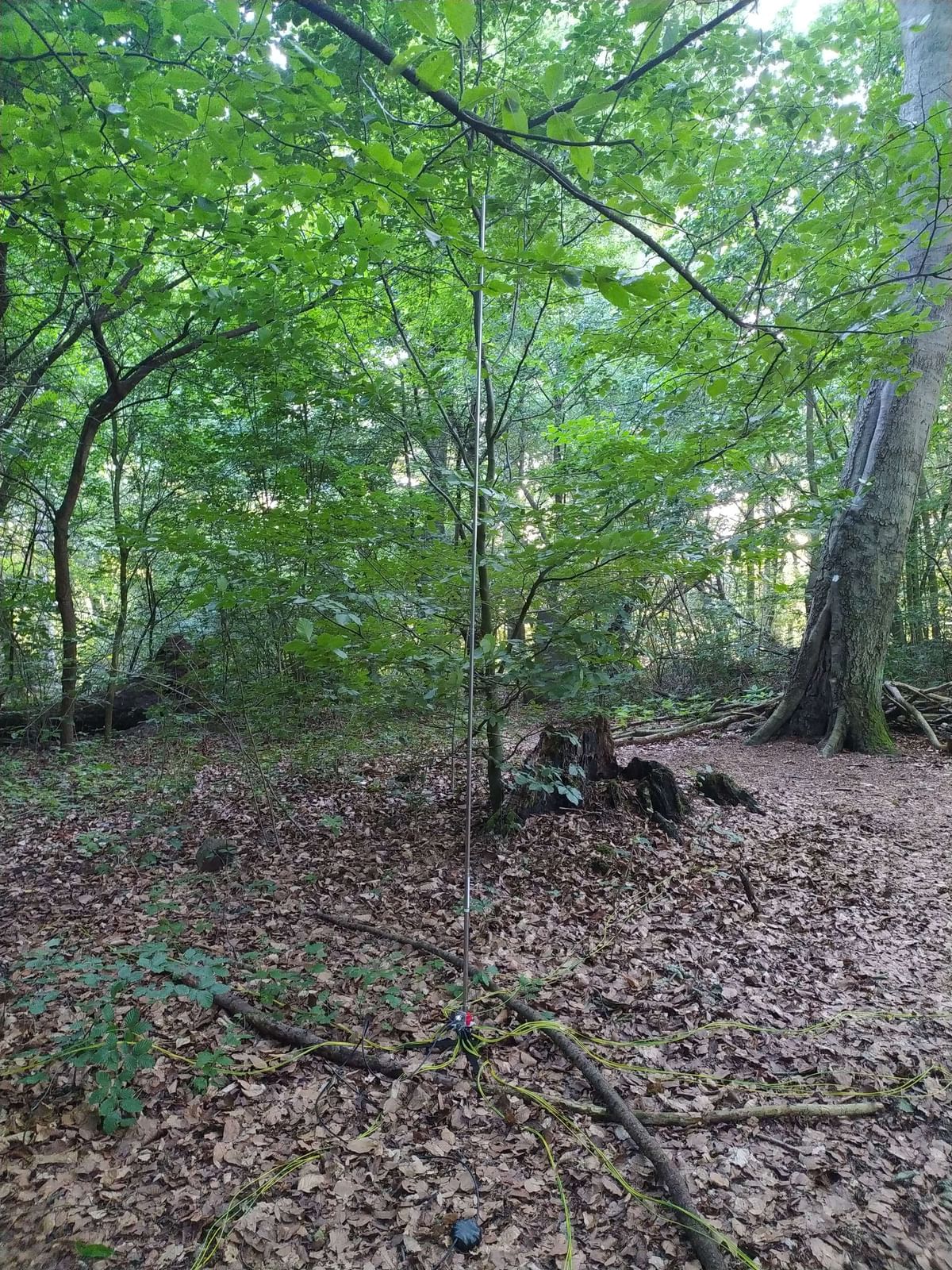 Bilder des Monats