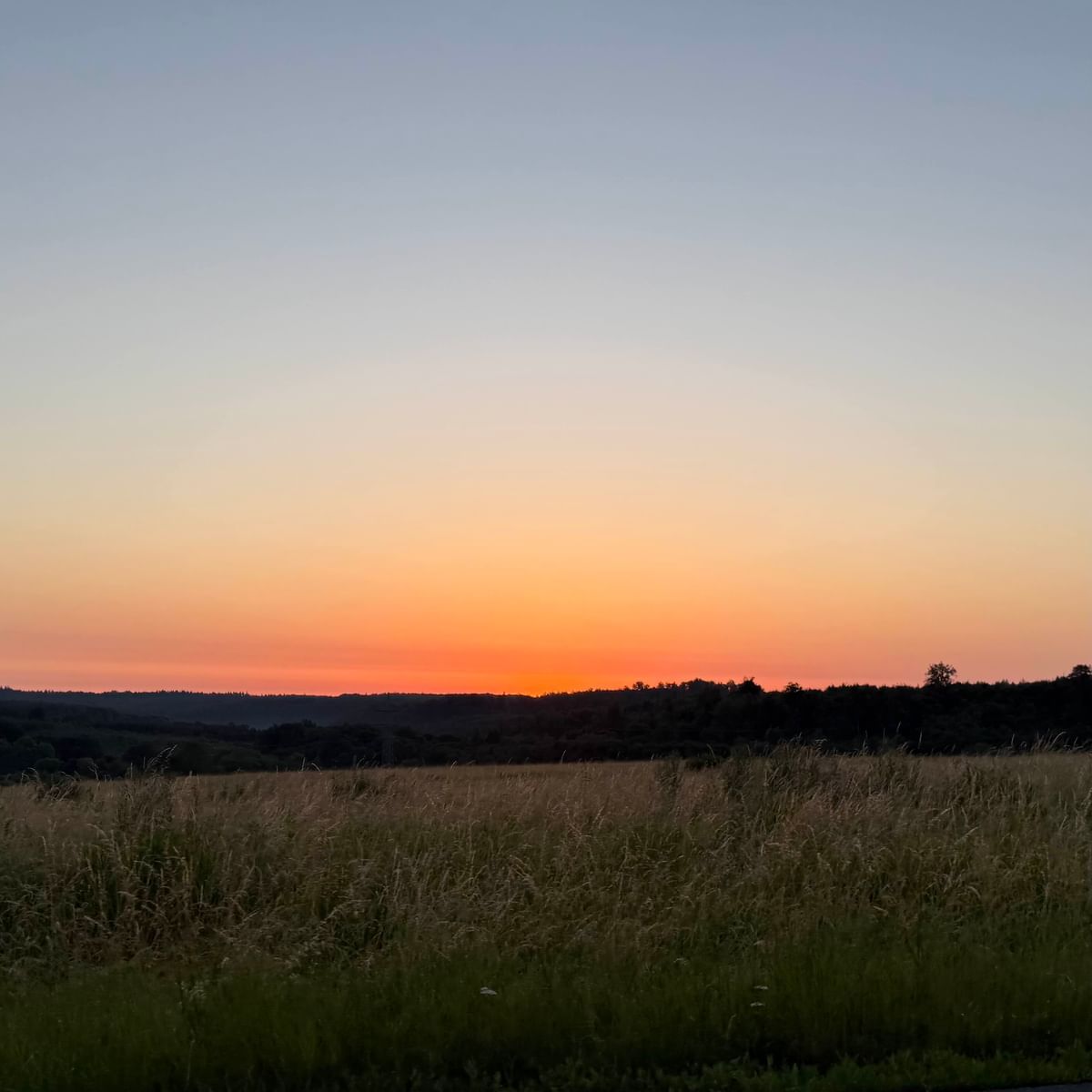 Bilder des Monats