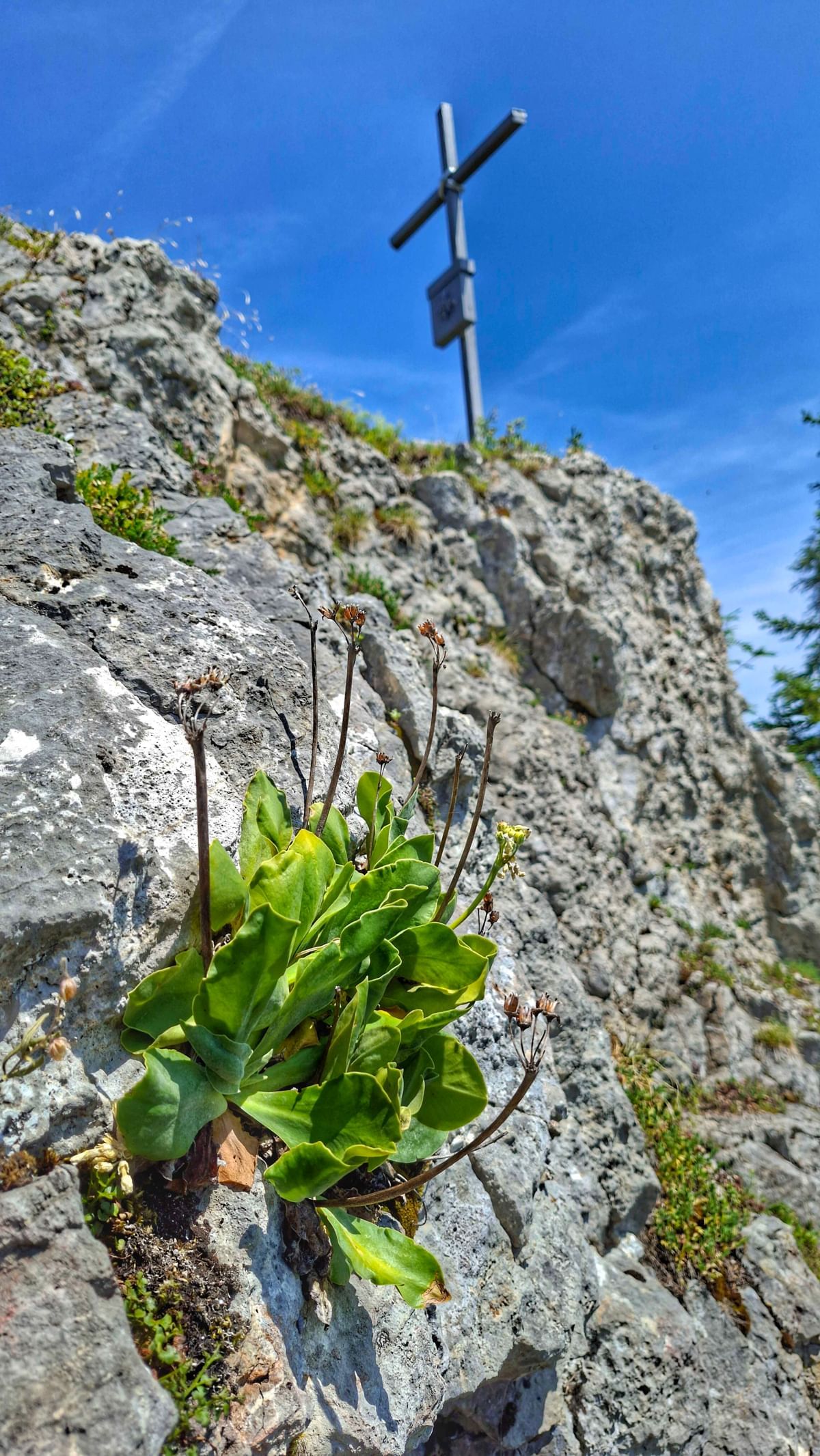 Bilder des Monats