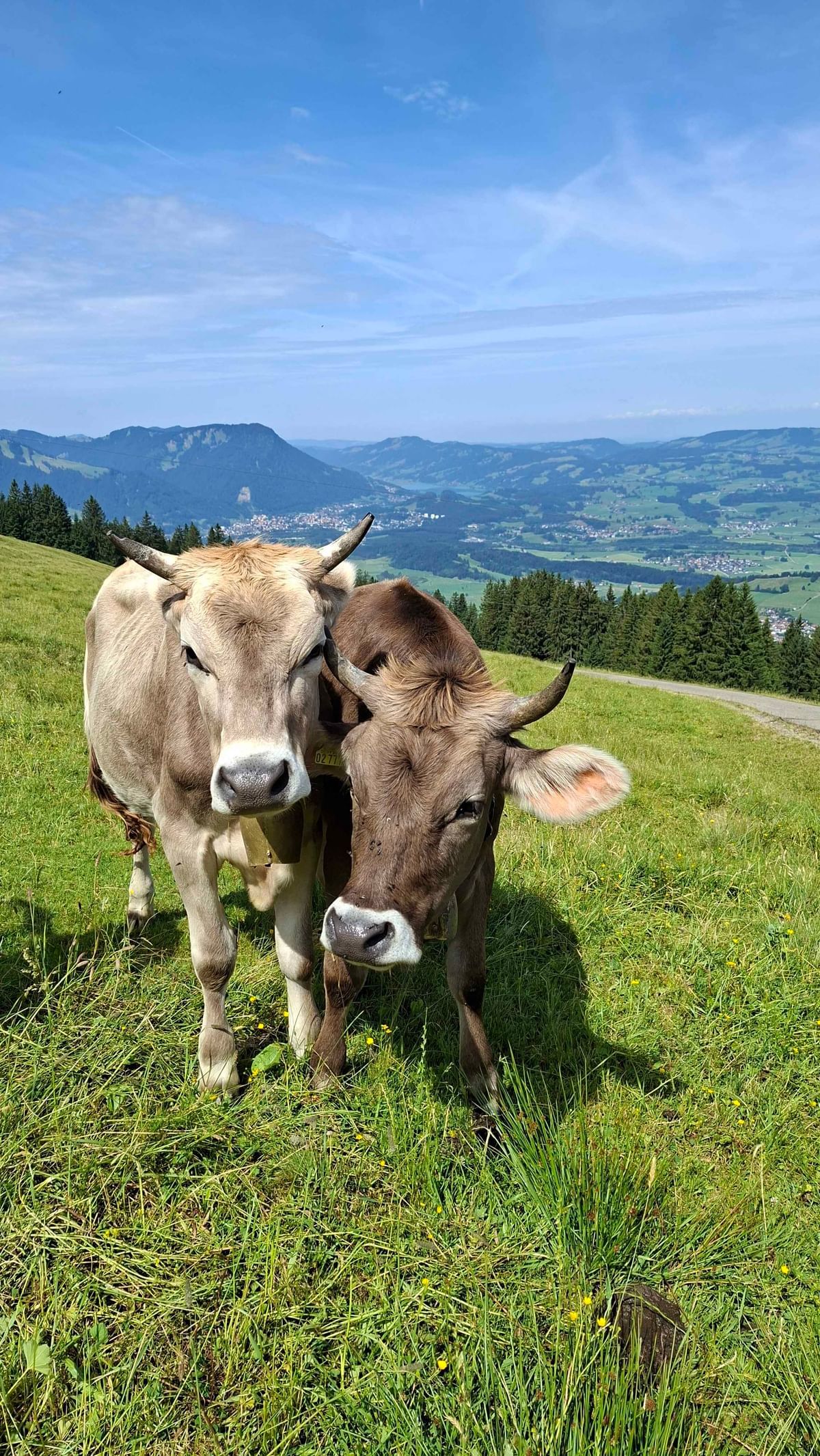 Bilder des Monats