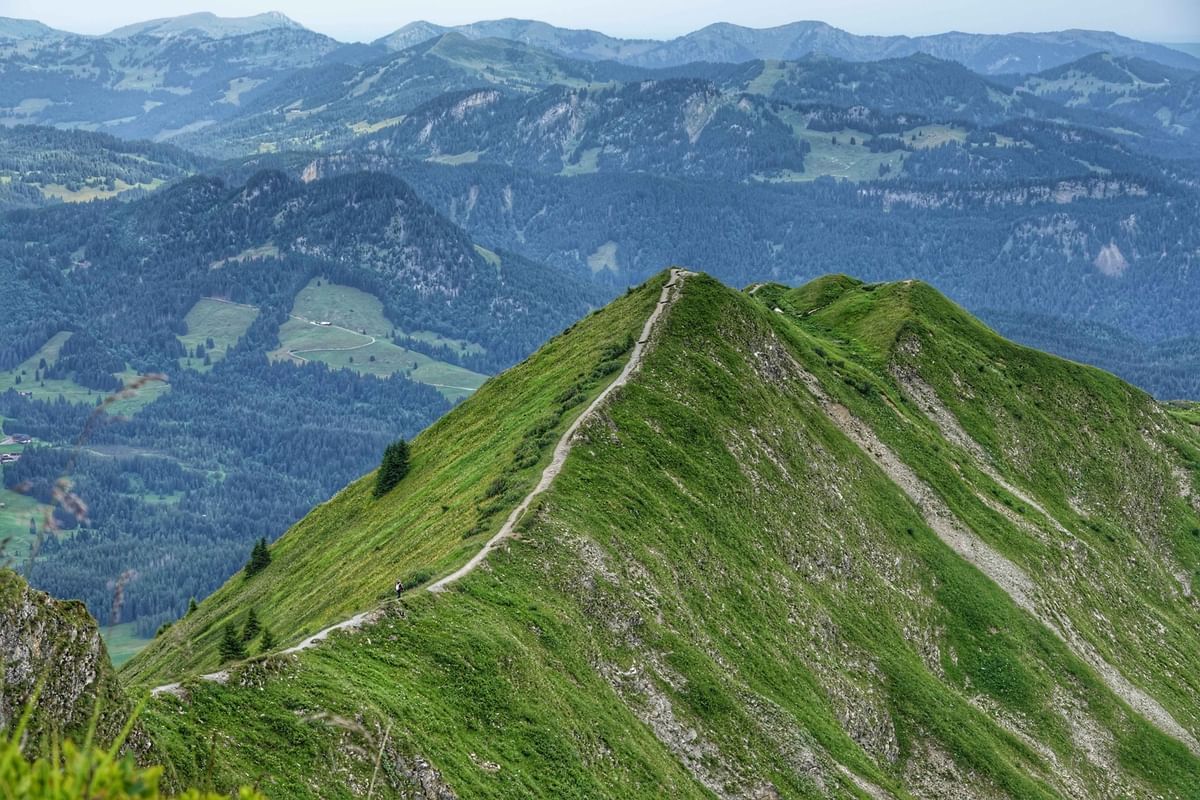 Bilder des Monats