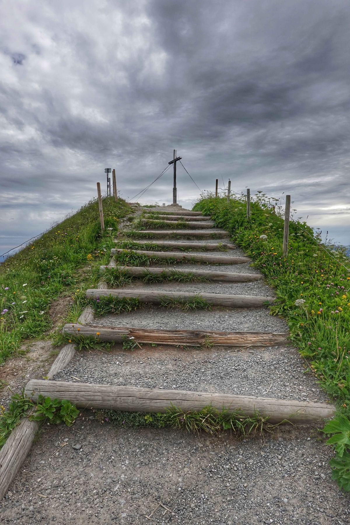 Bilder des Monats