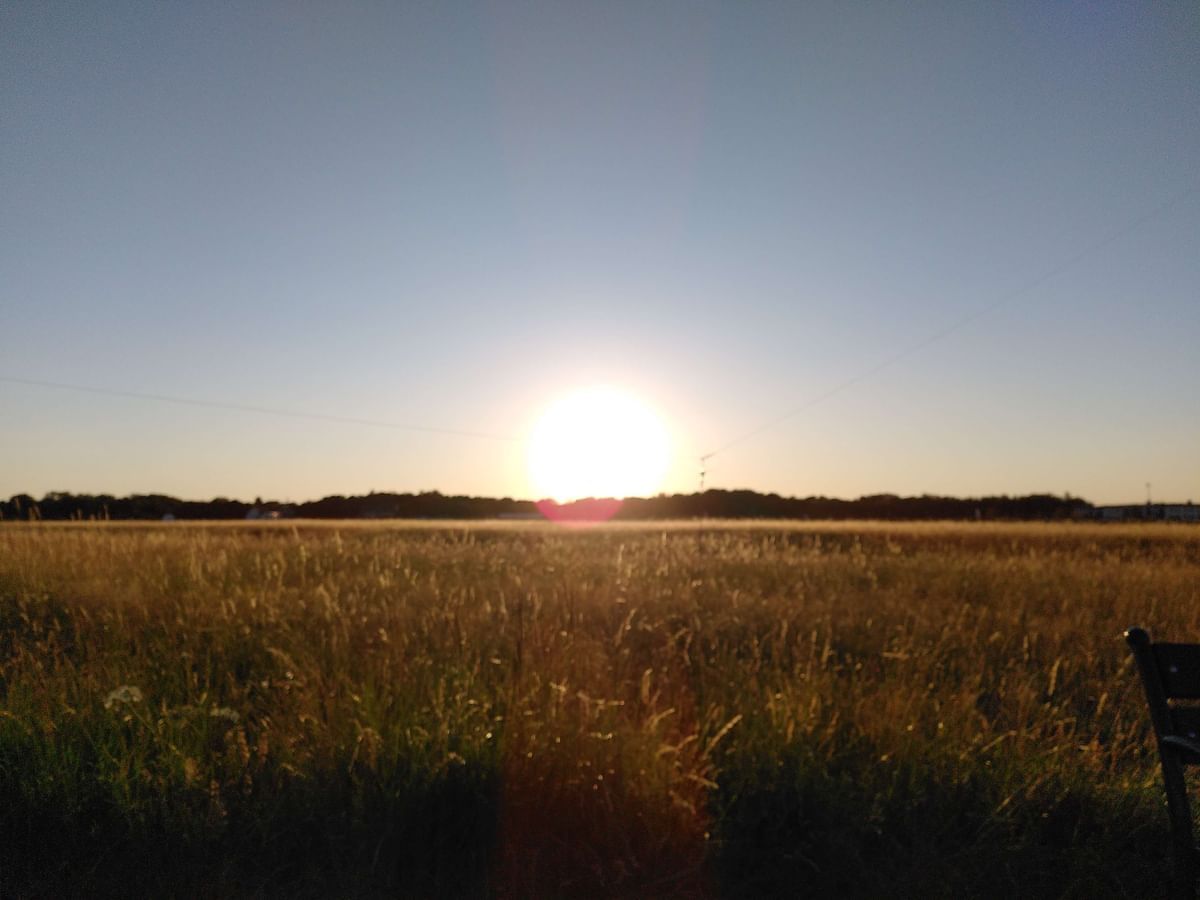 Bilder des Monats