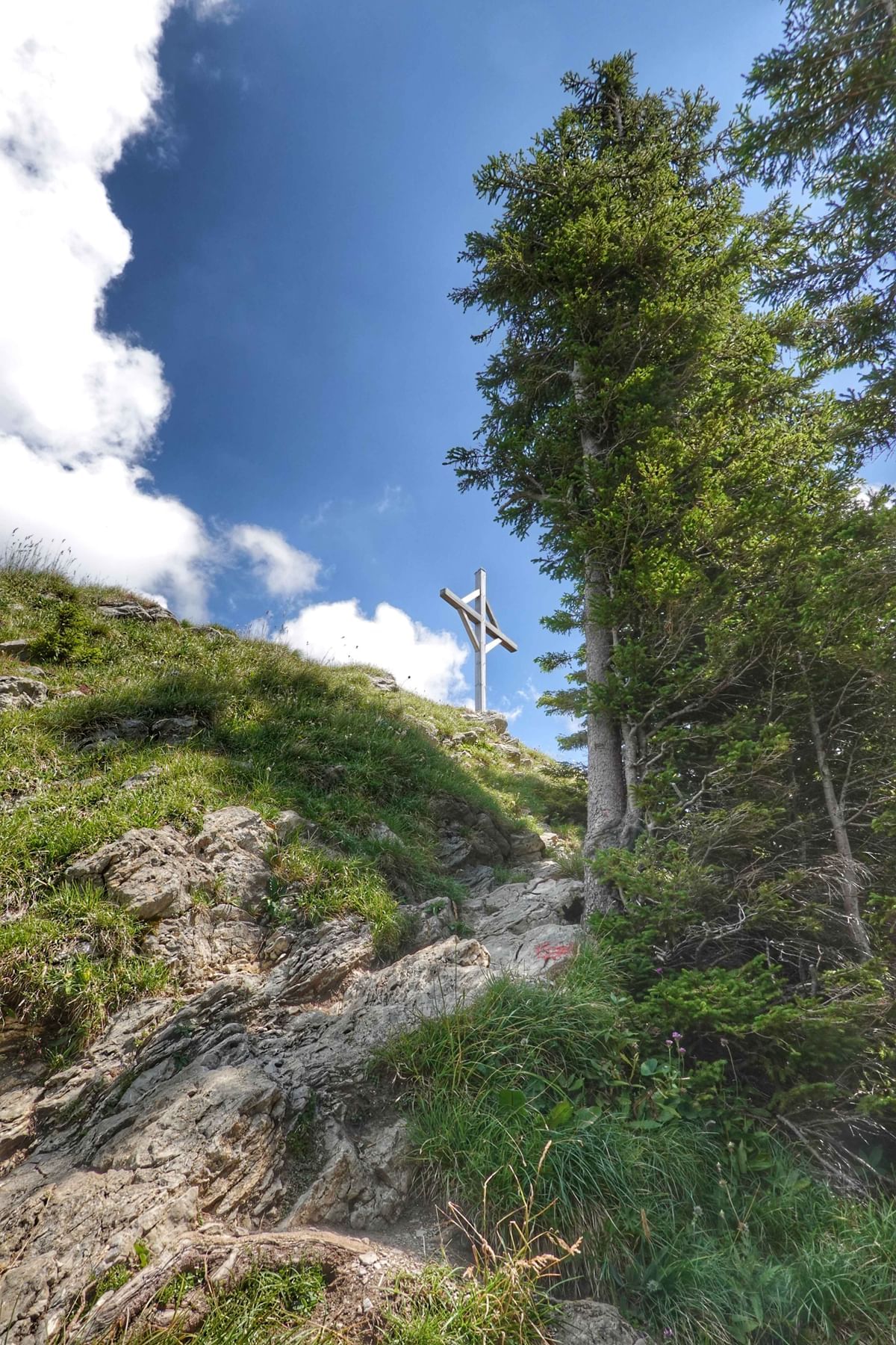 Bilder des Monats