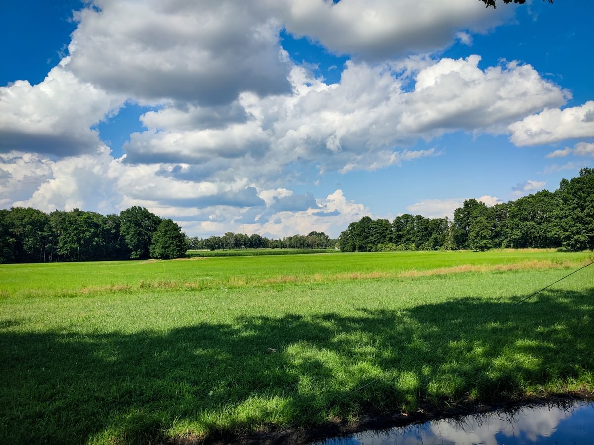Bilder des Monats