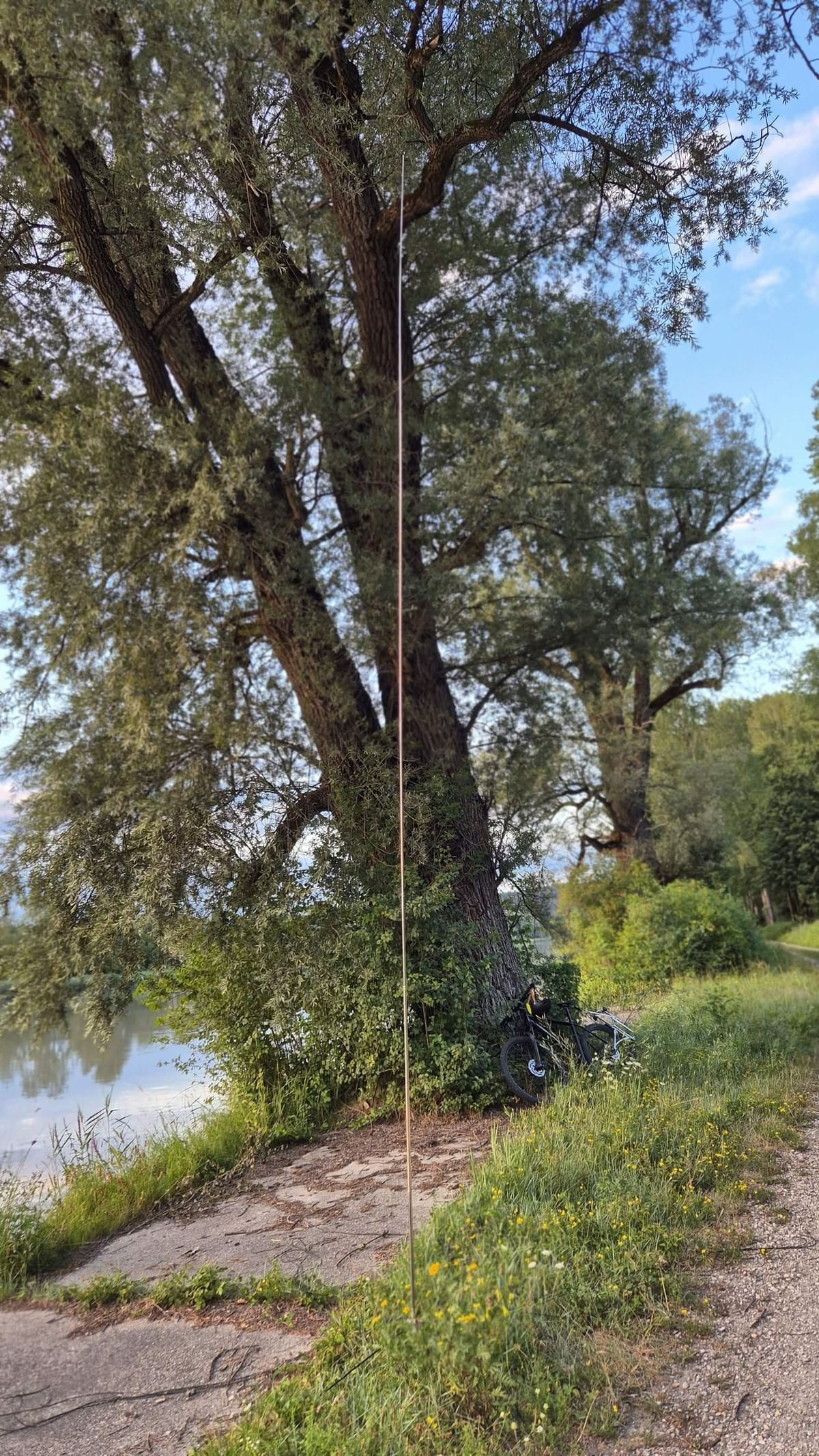 Bilder des Monats
