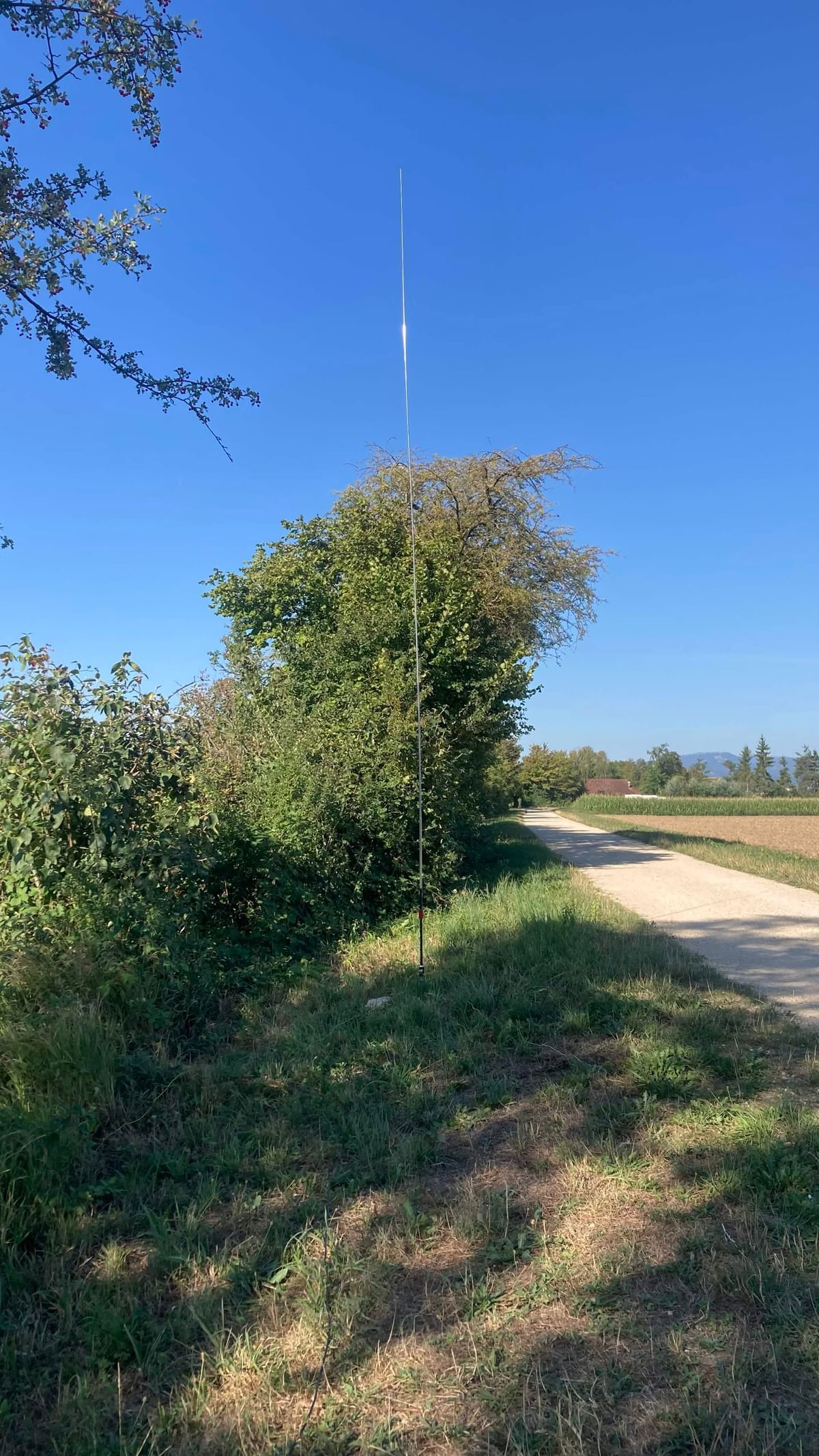 Bilder des Monats
