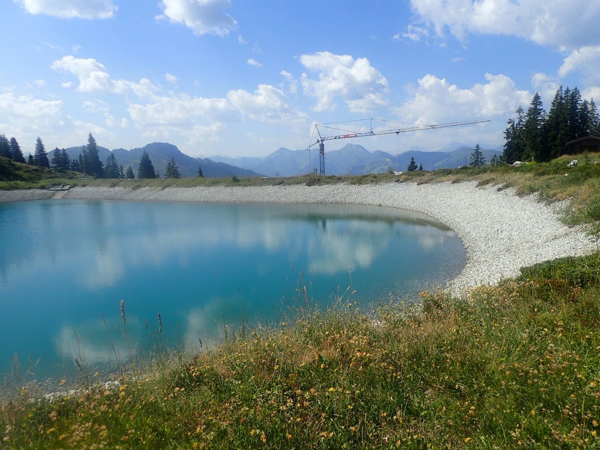 Bilder des Monats
