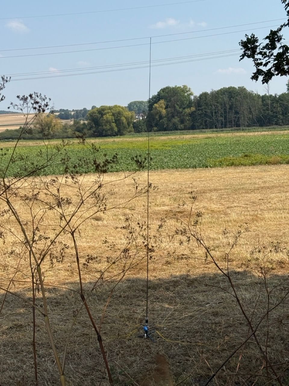 Bilder des Monats