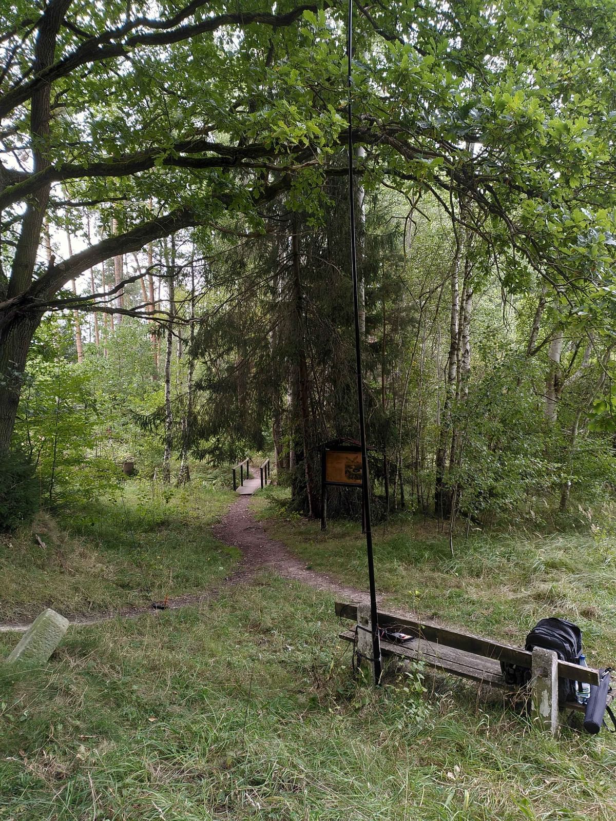 Bilder des Monats