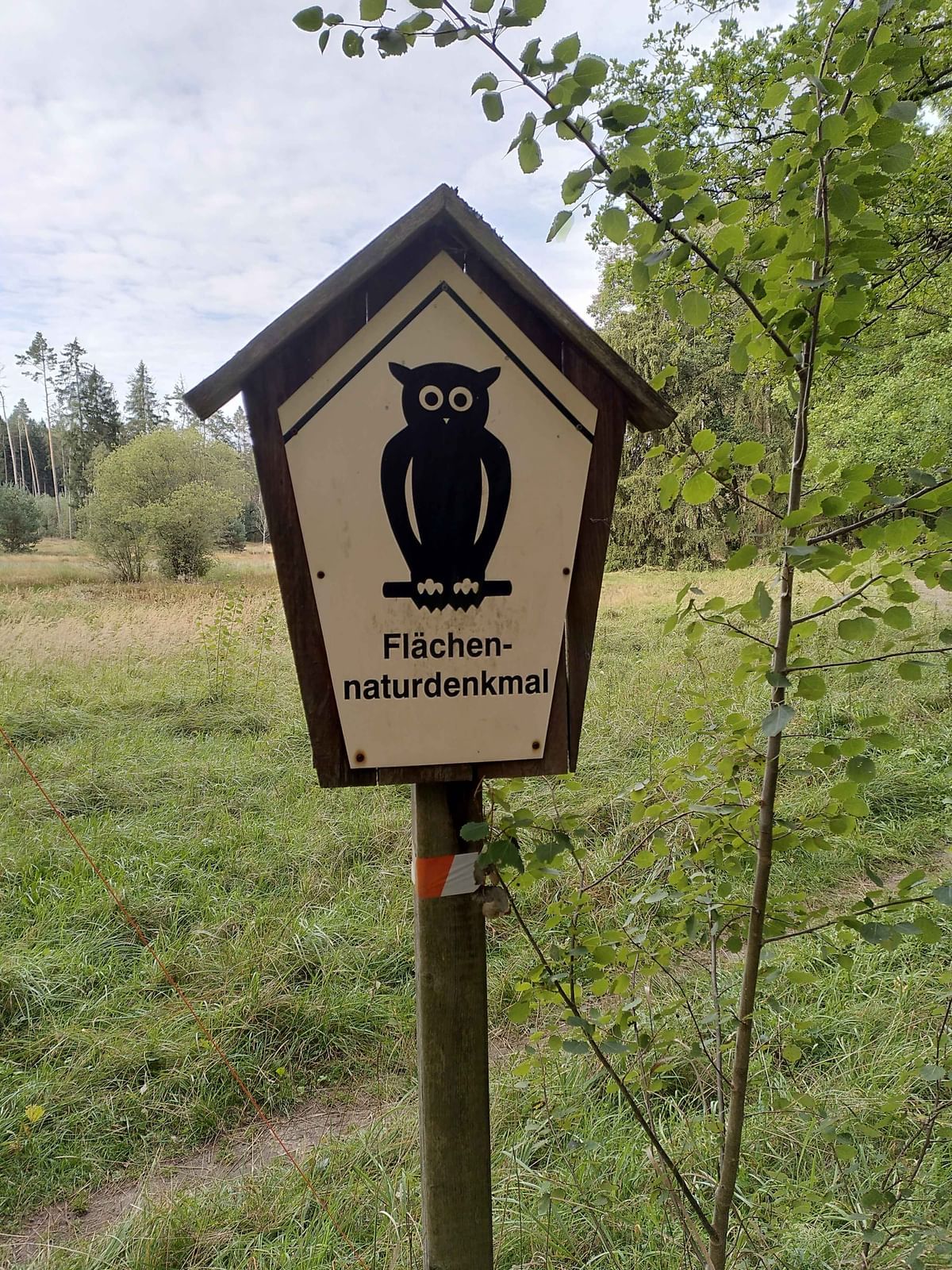 Bilder des Monats