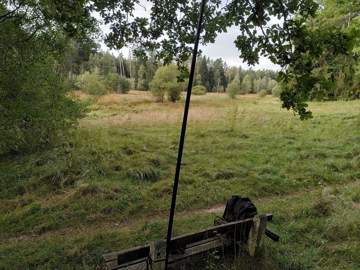 Bilder des Monats