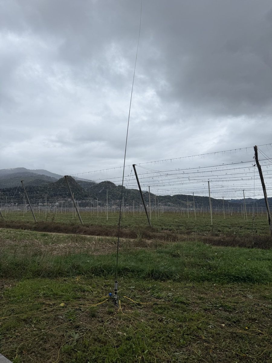 Vertikal vor den Hopfengärten bei Radlje ob Dravi